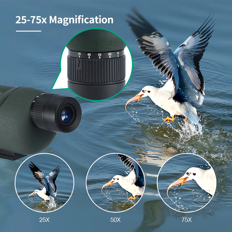 Lunette d'observation monocula - Hunting Outdoor Watch avis et prix
